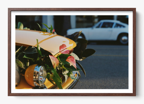 Petal To The Metal in a Heritage Walnut frame