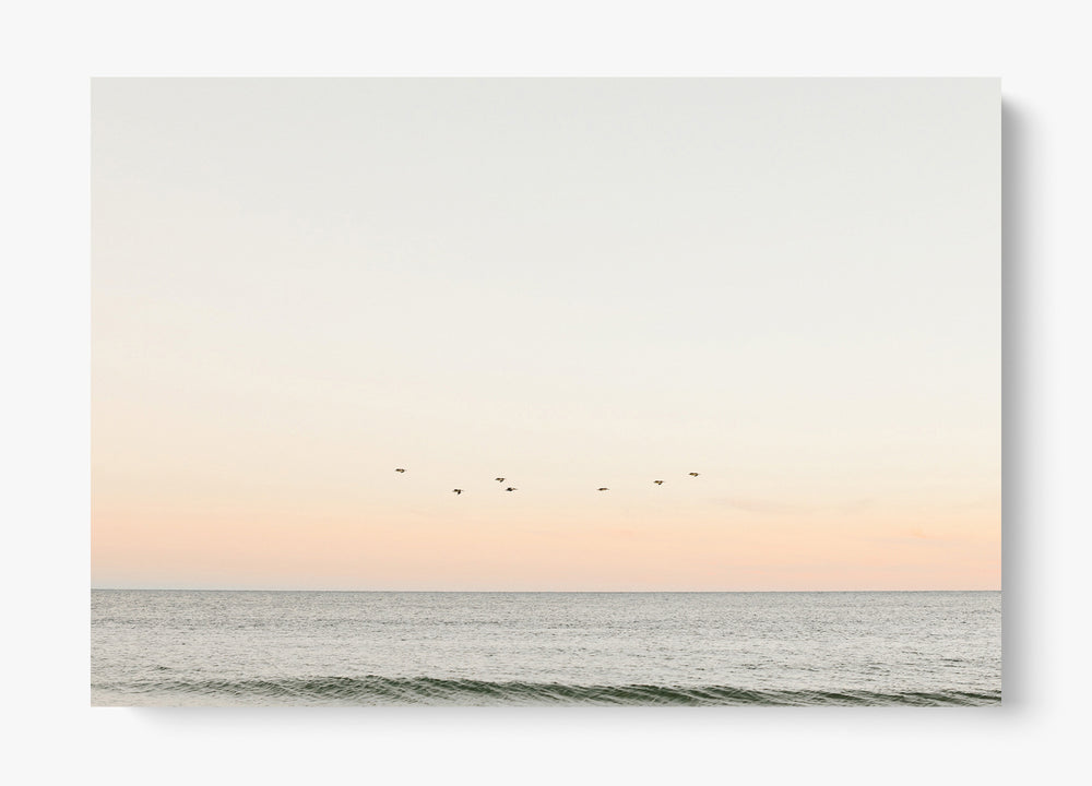 Birds At Dusk Unframed