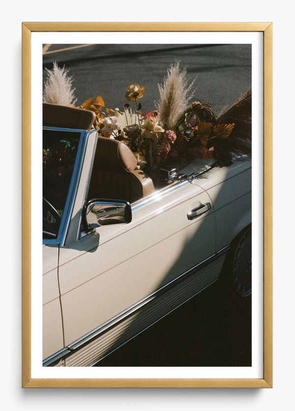 Back Seat Driver in a Gold frame