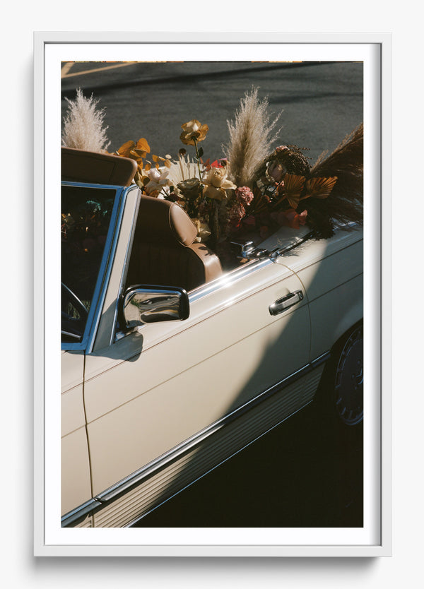Back Seat Driver in a White frame