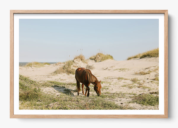 Beach Bum in a Hickory frame