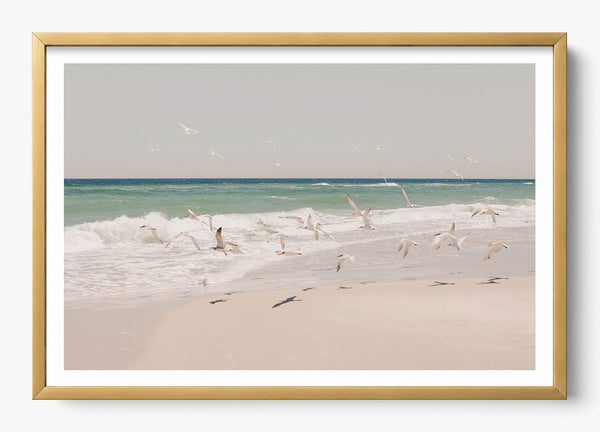 Birds Of A Feather in a Gold frame