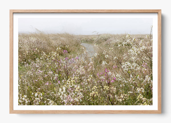 Bloom On The Coast in a Hickory frame