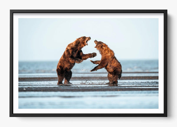 Rivalry in a Black frame