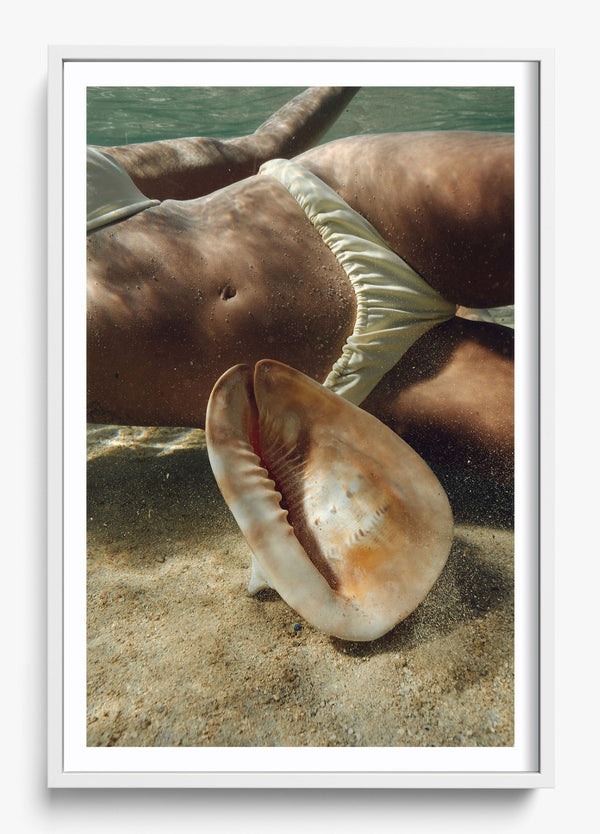 Sea Dweller in a White frame