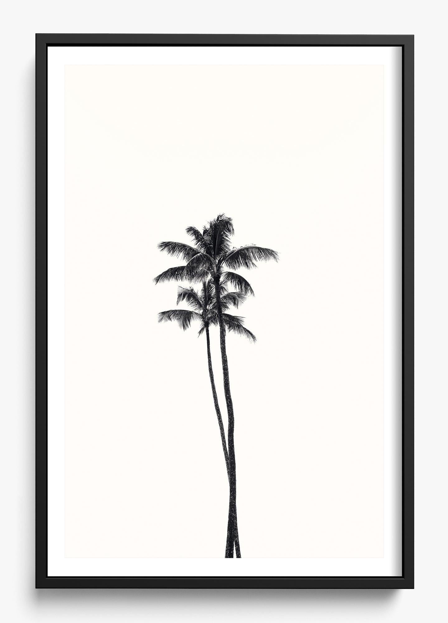 California Lovers