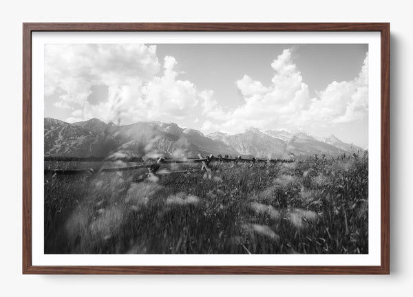 Call Of The West in a Heritage Walnut frame