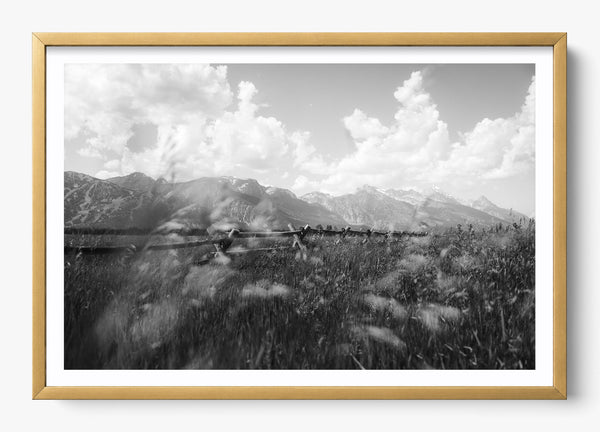 Call Of The West in a Gold frame