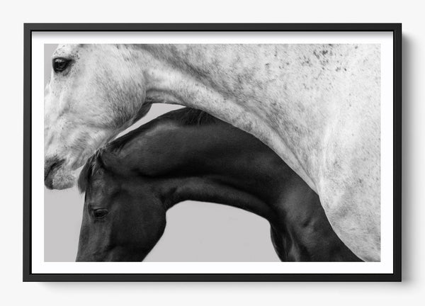 Covering in a Black frame
