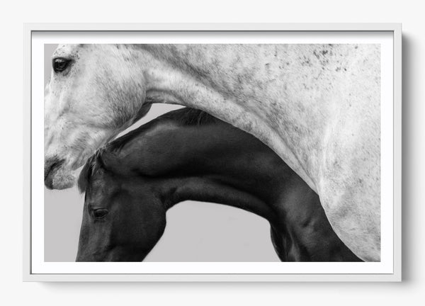 Covering in a White frame