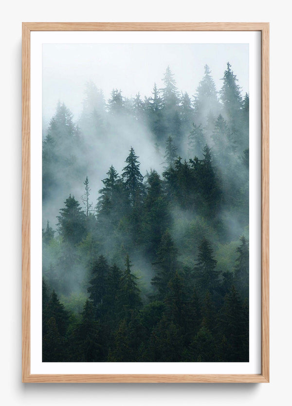 Deep Woods in a Hickory frame