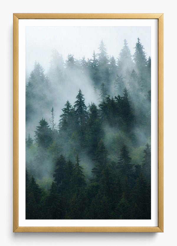 Deep Woods in a Gold frame