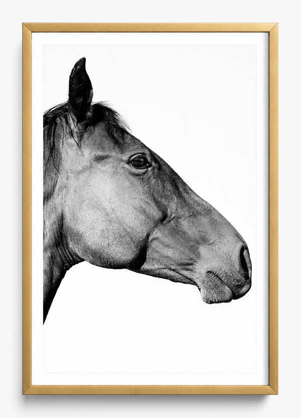 Facing East in a Gold frame
