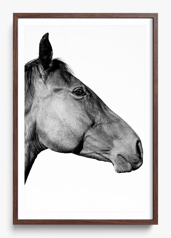 Facing East in a Heritage Walnut frame