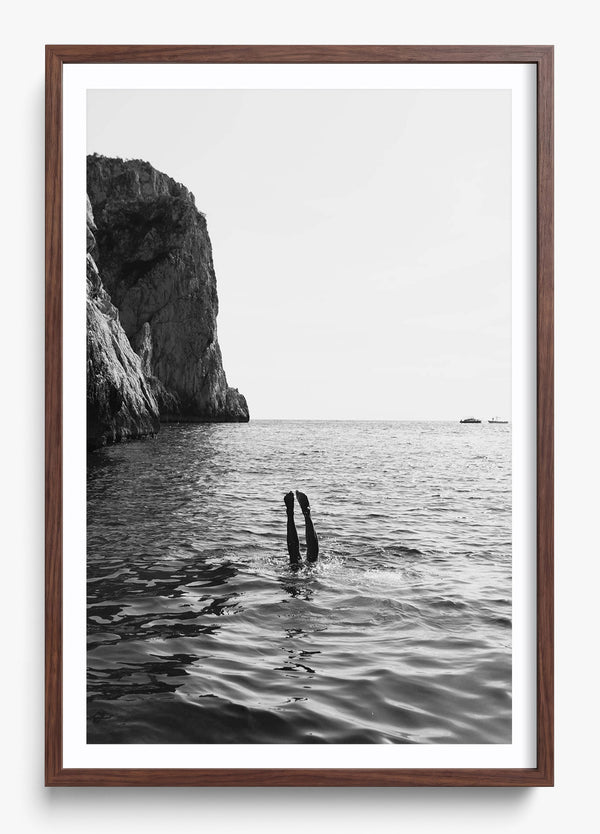 Free Dive in a Heritage Walnut frame