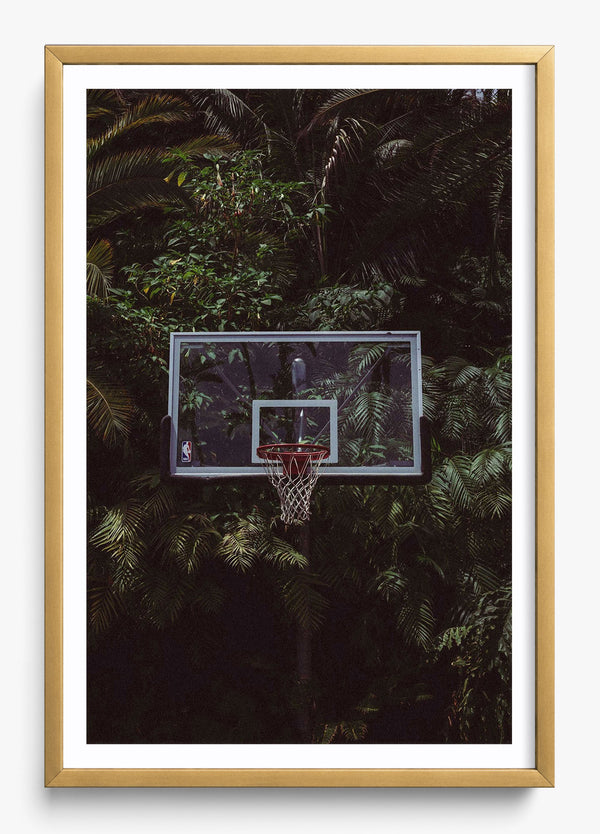 Home Grown in a Gold frame
