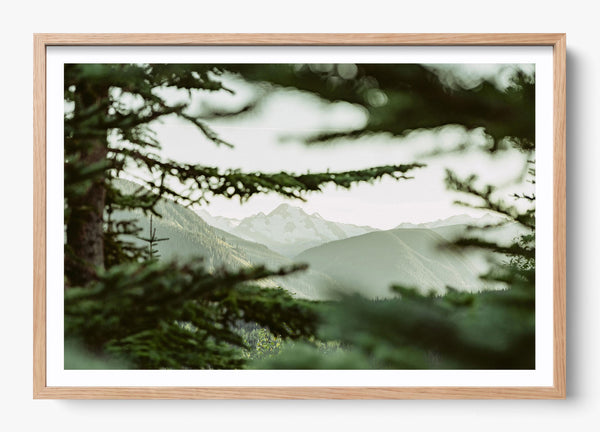 In Plain View in a Hickory frame