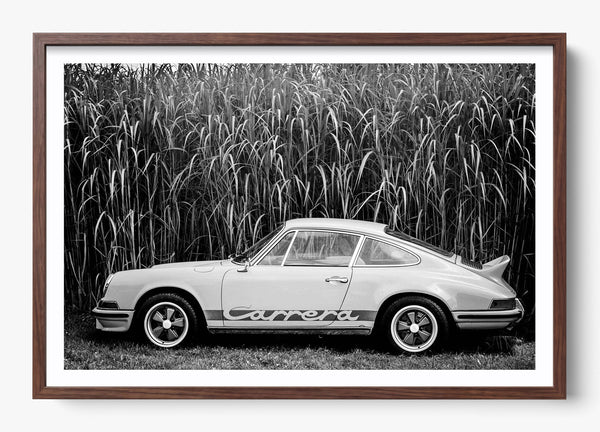 In The Weeds in a Heritage Walnut frame