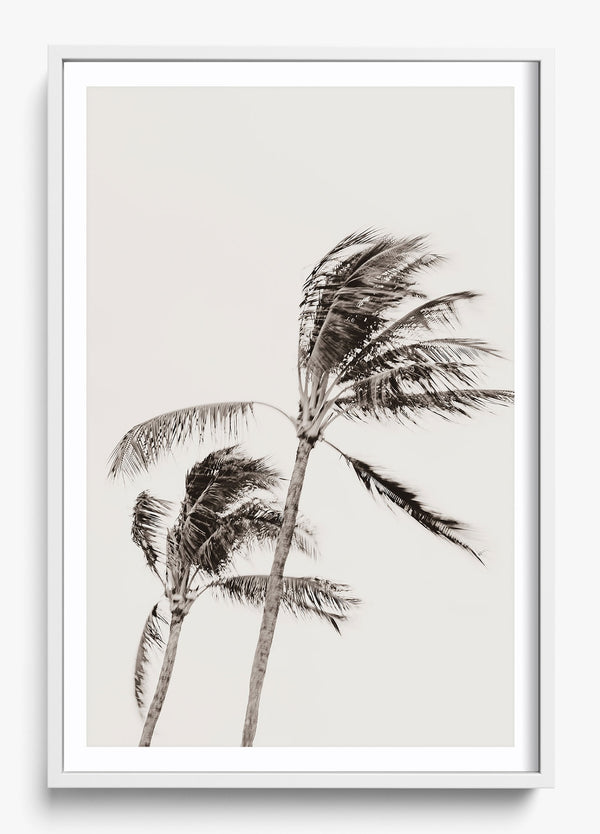 Island Breezy in a White frame