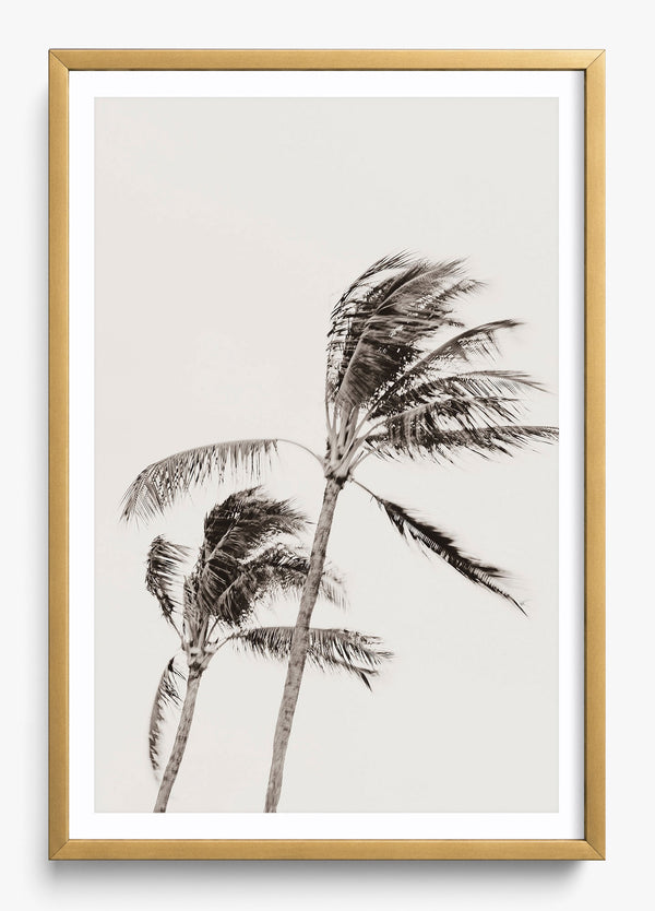 Island Breezy in a Gold frame