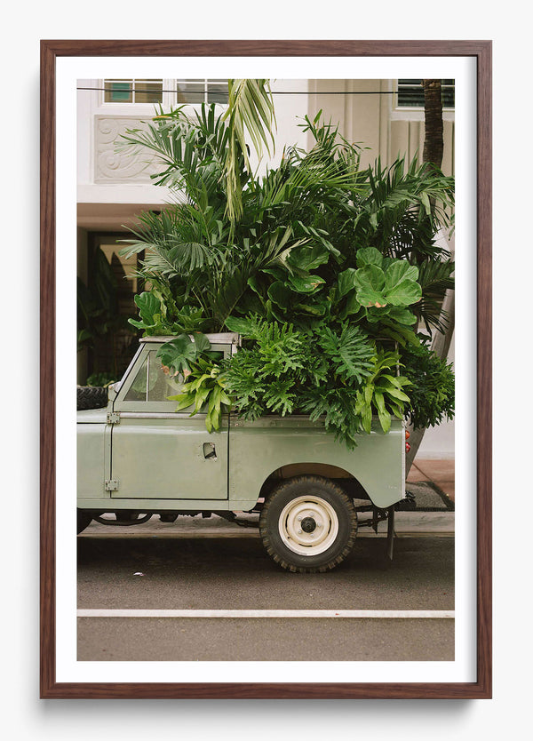 Junk In The Trunk in a Heritage Walnut frame