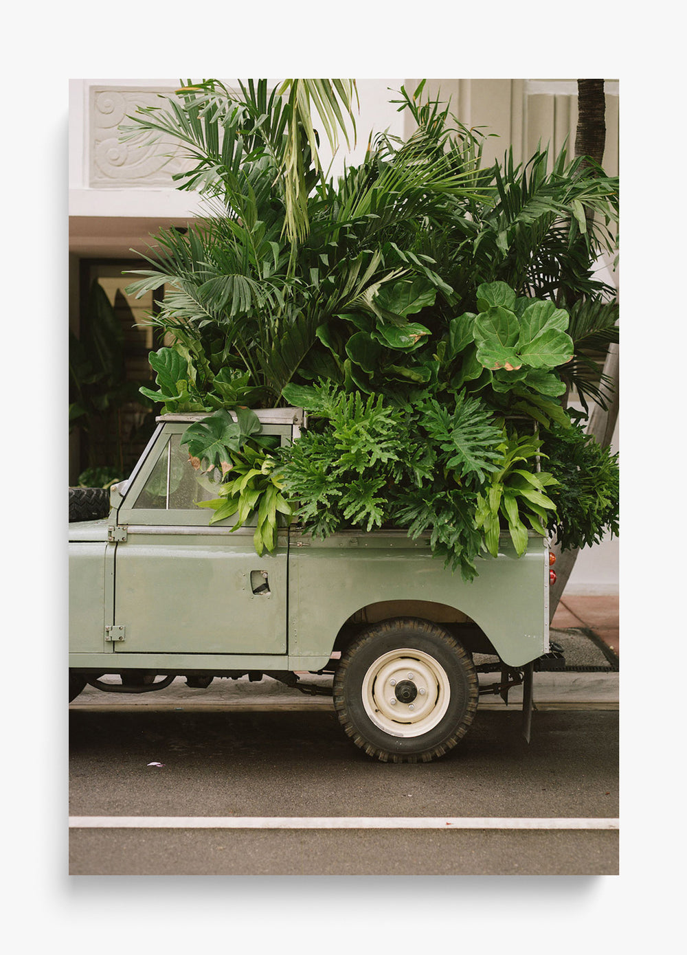 Junk In The Trunk Unframed