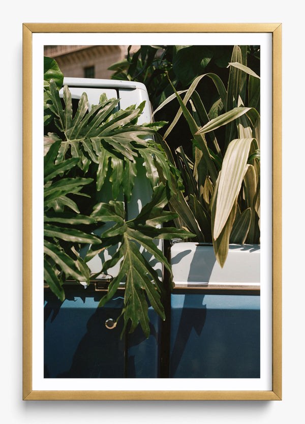 Green Acres in a Gold frame