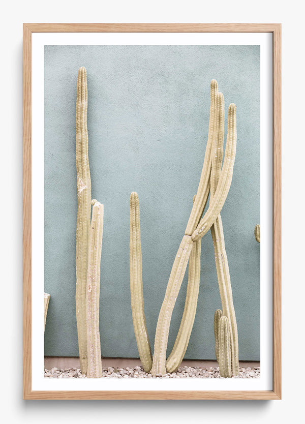 Melrose Cacti in a Hickory frame