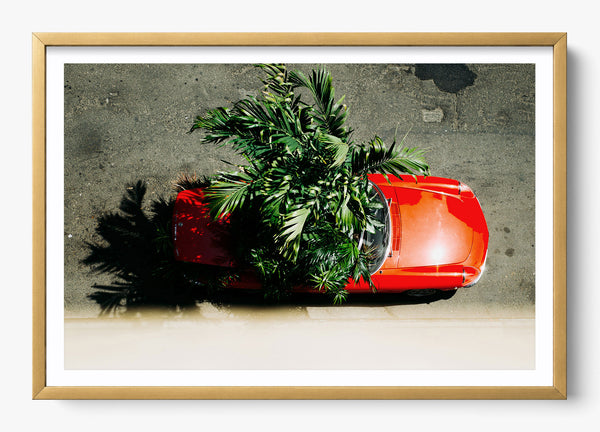 Miami Paradise in a Gold frame
