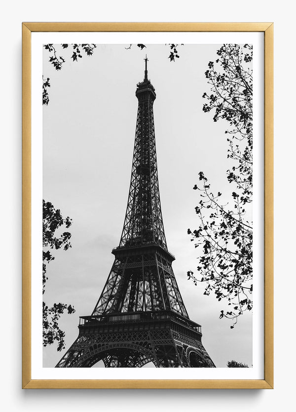 My Paree in a Gold frame