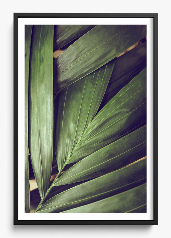 Outgrow The Old in a Black frame
