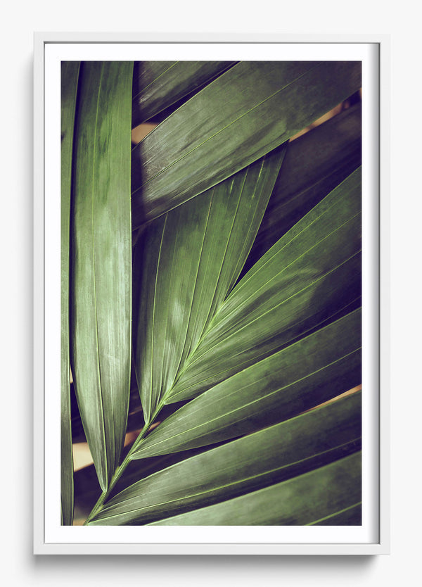 Outgrow The Old in a White frame