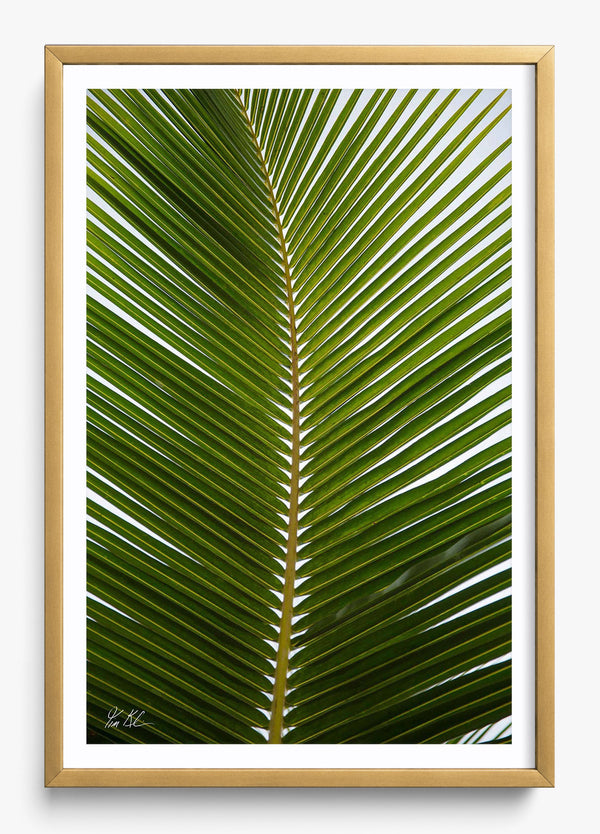 Outstretched in a Gold frame