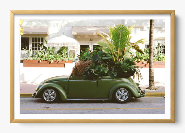 Over Grown in a Gold frame