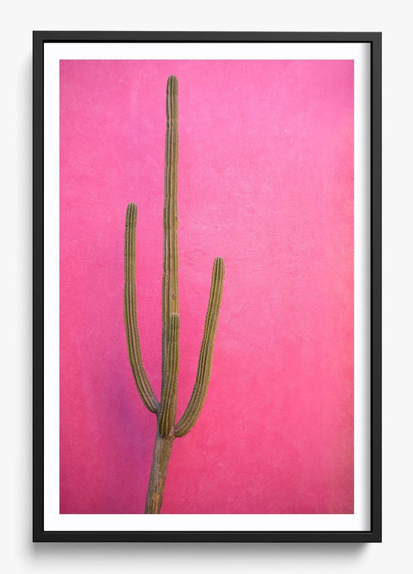 Cactus Pink in a Black frame