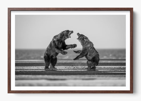 Rival in a Heritage Walnut frame