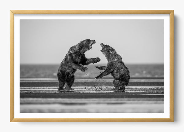 Rival in a Gold frame