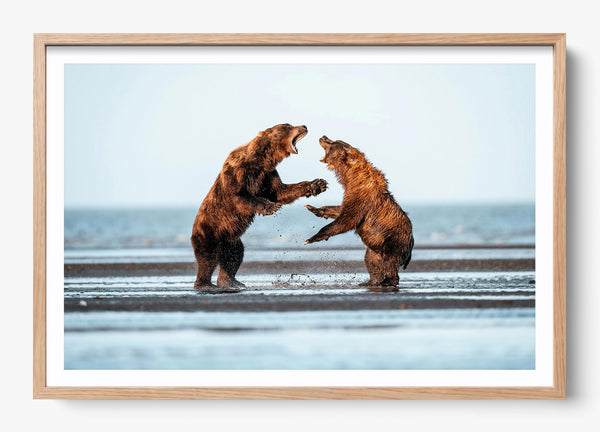 Rivalry in a Hickory frame