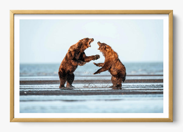 Rivalry in a Gold frame