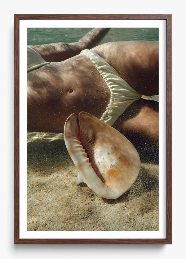 Sea Dweller in a Heritage Walnut frame