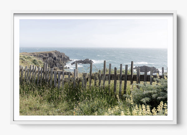 Sea Ranch in a White frame