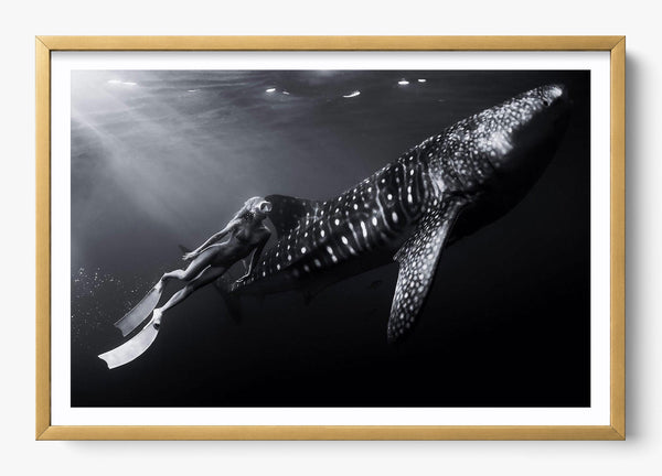 Small And Mighty in a Gold frame
