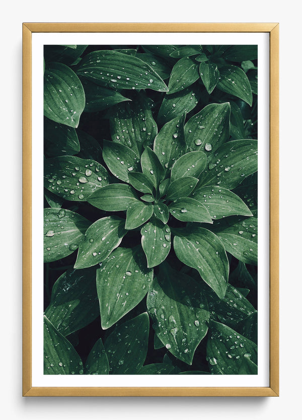 Small World in a Gold frame