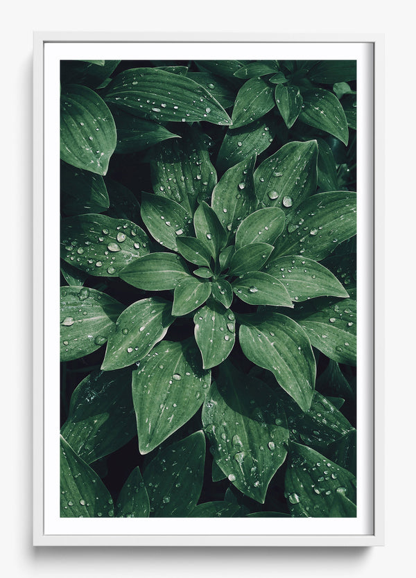 Small World in a White frame