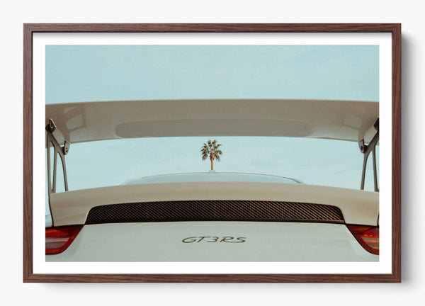 Spoiler Alert in a Heritage Walnut frame