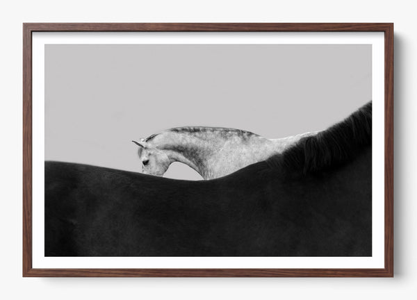 Stand By Me in a Heritage Walnut frame