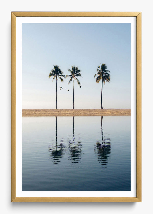 Stick Together in a Gold frame