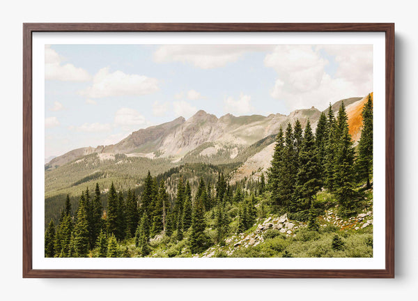 Telluride Pines in a Heritage Walnut frame