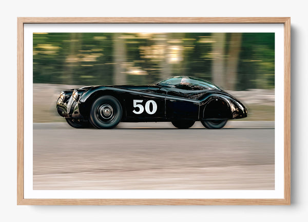 The Black Cat in a Hickory frame