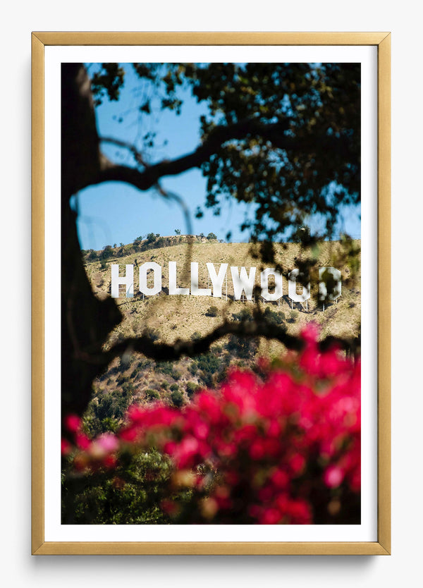 The Hollywood Dream in a Gold frame